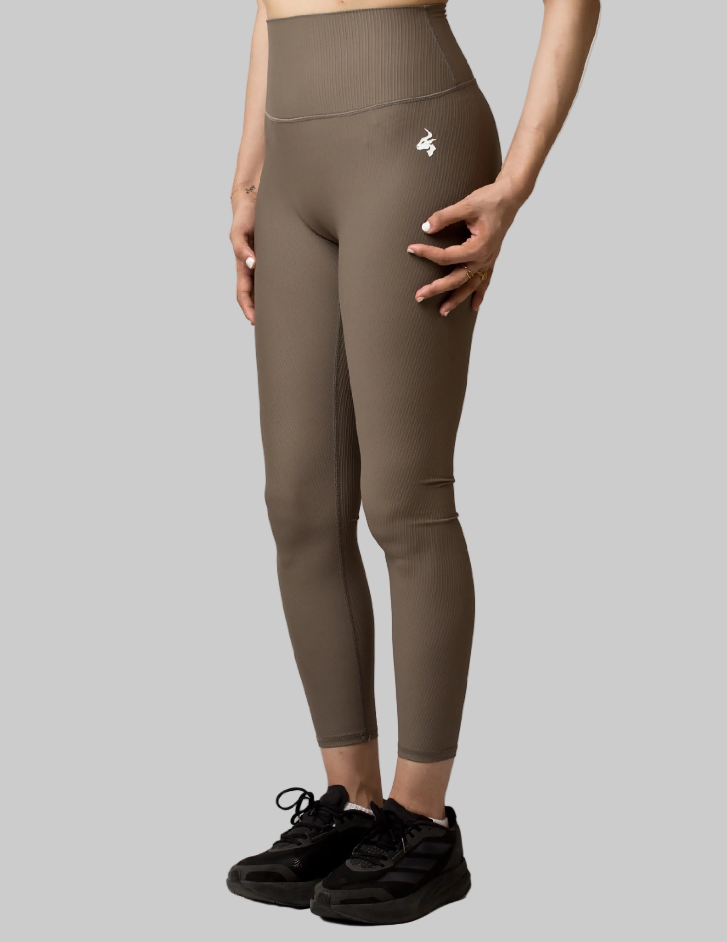 Mocha Motion Set